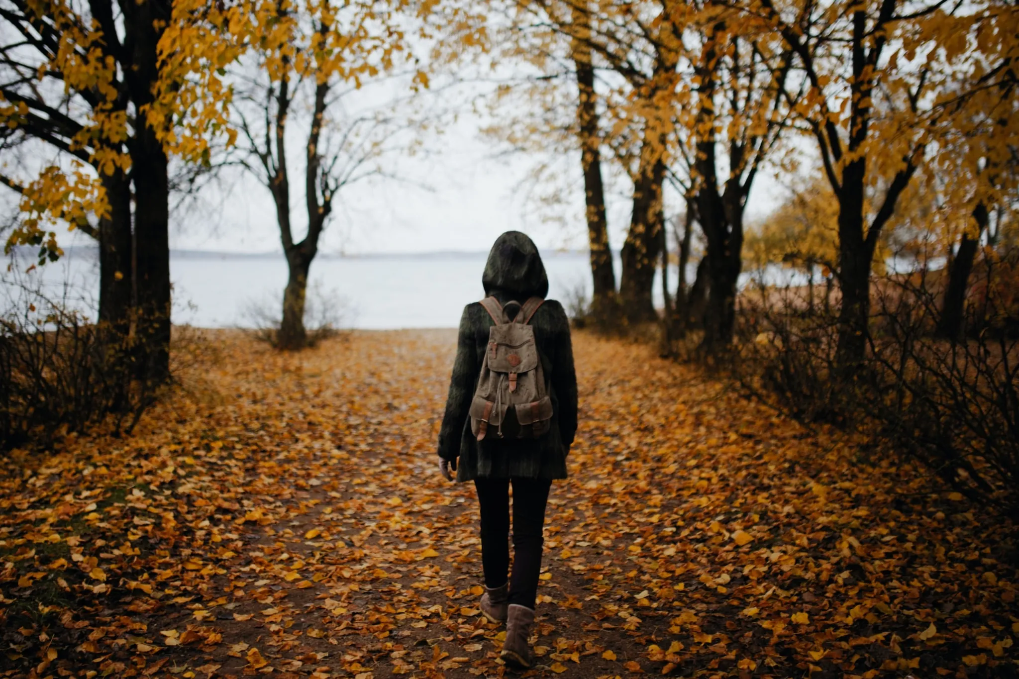 A person with a backpack walking down a tree-lined path
